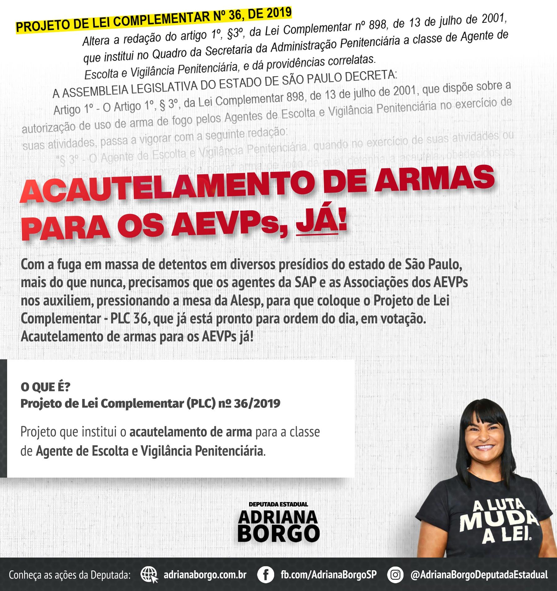 Adriana Borgo - PLC 36 de 2019 - atualizacao(1)